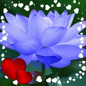 Meet your Posher, Xuyen